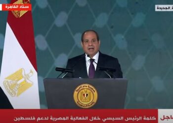 تحيا مصر فلسطين.. الرئيس السيسي يدعو للوقوف دقيقة حداد على أرواح شهداء غزة