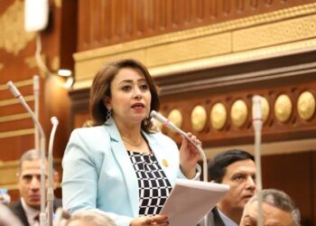 نائبة بالشيوخ: ندعم ونساند القيادة السياسية فى قراراتها لحماية أمن البلاد 