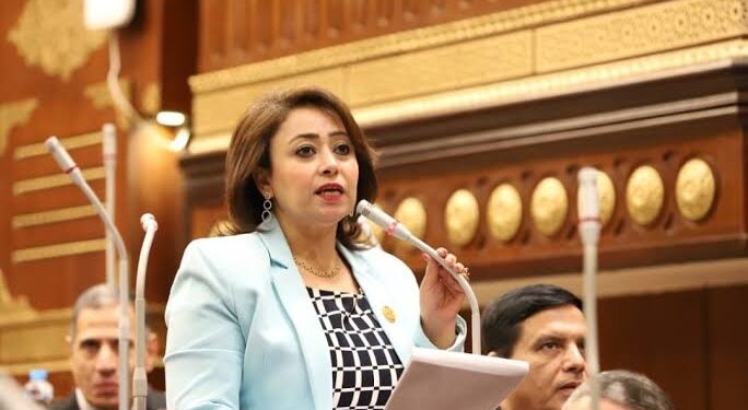 نائبة بالشيوخ: ندعم ونساند القيادة السياسية فى قراراتها لحماية أمن البلاد 