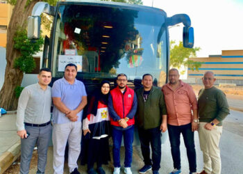 الانتخابات الرئاسية المصرية في الخارج