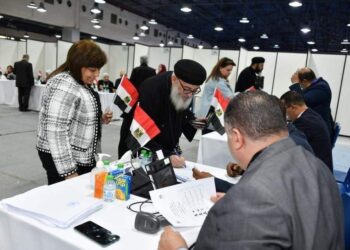 الانتخابات الرئاسية.. التنسيقية ترصد تصويت المصريين في 54 دولة.. ومخالفة واحدة لحملة المرشح عبد السند يمامة بأبوظبي