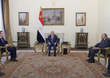 الرئيس السيسي يؤكد لـ كاميرون ضرورة التوصل لوقف مستدام لإطلاق النار في غزة
