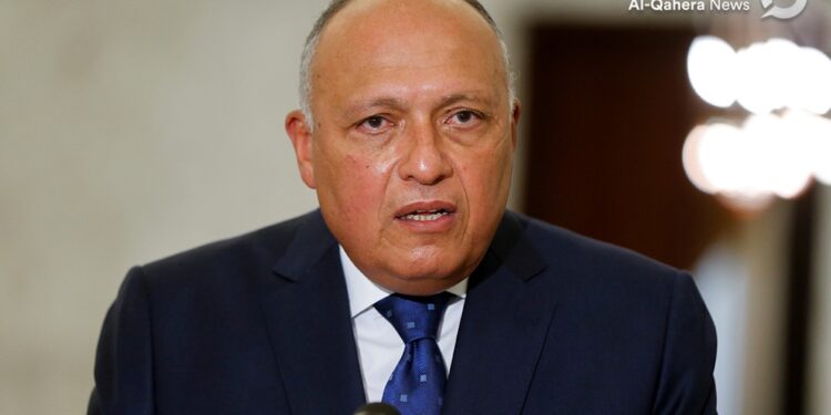 سامح شكري وزير الخارجية