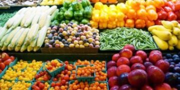أسعار الخضروات اليوم