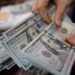 سعر الدولار اليوم