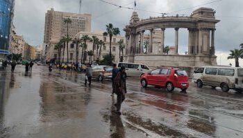 نوة الكرم في الإسكندرية