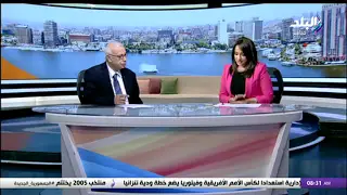 علي حسن: أمريكا هي من تطلق العنان لـ العدوان الإسرائيلي على غزة
