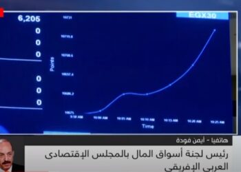 خبير اقتصادي: هناك قطاعات مستفيدة من تراجع قيمة الجنيه 