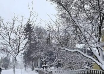 عواصف ثلجية بالولايات المتحدة تقطع الكهرباء عن مليون منزل وتلغي ١٣٠٠ رحلة جوية