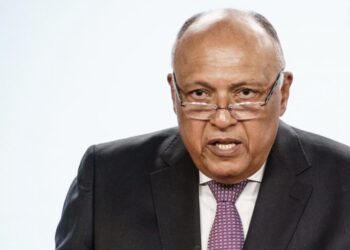 وزير الخارجية المصري ونظيره الإيطالي يؤكدان ضرورة درء أية محاولات إسرائيلية لتهجير الفلسطينيين