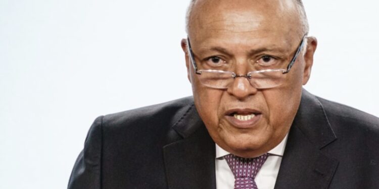 وزير الخارجية المصري ونظيره الإيطالي يؤكدان ضرورة درء أية محاولات إسرائيلية لتهجير الفلسطينيين