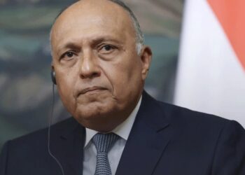 مصر تؤكد التزامها بدخول المساعدات الإنسانية إلى غزة