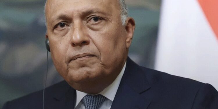 مصر تؤكد التزامها بدخول المساعدات الإنسانية إلى غزة