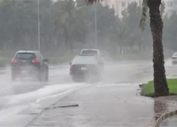 صقيع في أول أيام شهر طوبة.. خصائص أبرد شهور الشتاء وكيف تستعد له؟