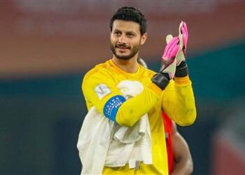 محمد الشناوي