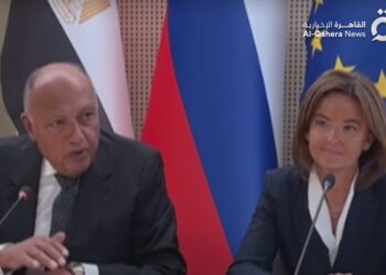 في لقاء وزيرا الخارجية المصري وسلوفينيا: مستوى الدمار والقتل في غزة غير مسبوق