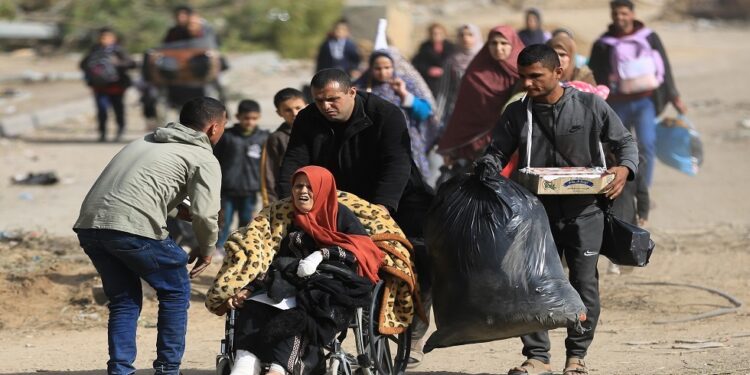 دور تاريخي لمصر في دعم القضية الفلسطينية ومواجهة الاحتلال الإسرائيلي.. تفاصيل