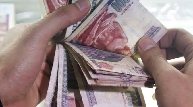 قرارات الحماية الاجتماعية لا علاقة لها بسعر الصرف ولا تستهدف التعويم