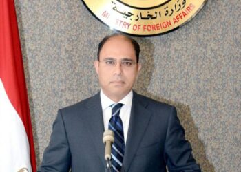 المتحدث باسم وزارة الخارجية المصرية أحمد أبو زيد