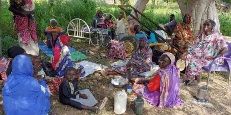 طفل واحد على الأقل يموت كل ساعتين في مخيم زمزم بالسودان