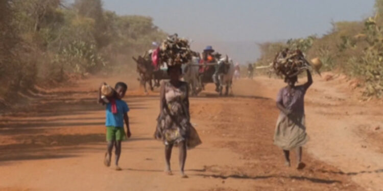 مدغشقر تفرض الإخصاء لـ مغتصبي الأطفال.. والعفو الدولية تُعلق: قاسي ومهين