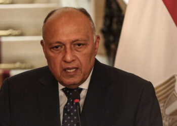 وزير الخارجية سامح شكري