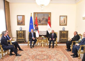 الرئيس السيسي يستعرض أمام مستشار النمسا جهود مصر لوقف إطلاق النار في غزة