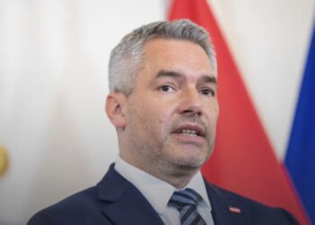 القمة المصرية الأوروبية.. مستشار النمسا: مصر تعد شريكا مهما للاتحاد الأوروبي