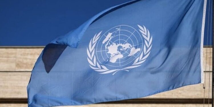 الأمم المتحدة: التطورات التي يشهدهاالبحر الأحمر تؤثر على المدنيين في اليمن