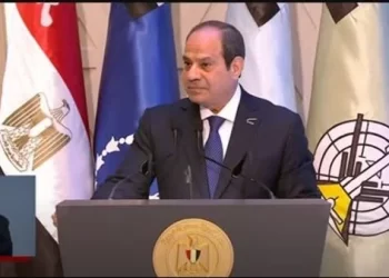 يوم الشهيد.. الرئيس السيسي: يجب ألا ننسى أن هناك ثمن دُفع حتى تستمر البلاد
