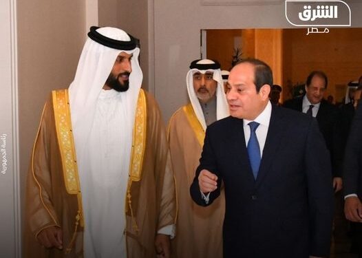 مصر والبحرين يؤكدان ضرورة الوقف الفوري لإطلاق النار في غزة