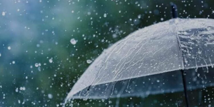 الطقس الآن في مصر.. تقلبات جوية يصحبها انخفاض في درجات الحرارة وسقوط أمطار