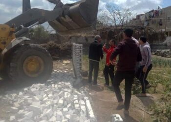 ضبط وإزالة ١٧ حالة بناء مخالف وتعدي على الأراضي الزراعية وأملاك الدولة في الجيزة 