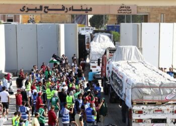 ملحمة إنسانية لدعم غزة.. جهود متواصلة لإنقاذ الشعب الفلسطيني