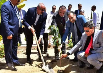 “كيم تك” تشارك في الأسبوع البيئي الأول لجامعة طيبة التكنولوجية بالأقصر