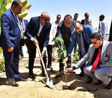 “كيم تك” تشارك في الأسبوع البيئي الأول لجامعة طيبة التكنولوجية بالأقصر