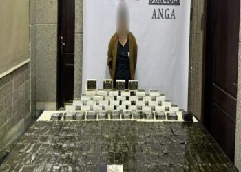 إدارة مكافحة المخدرات تضبط عاطل بحوزته 50 كيلوجرام من الحشيش 