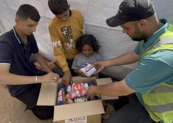 مصر تواصل جهودها لدعم الأشقاء في غزة.. مرور 104 شاحنة مساعدات تابعة لـ حياة كريمة والتحالف الوطني لدعم الأشقاء في فلسطين