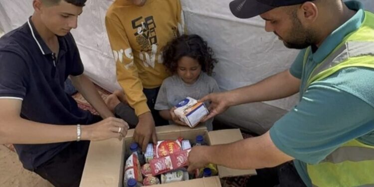 مصر تواصل جهودها لدعم الأشقاء في غزة.. مرور 104 شاحنة مساعدات تابعة لـ حياة كريمة والتحالف الوطني لدعم الأشقاء في فلسطين