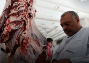 الزراعة تشن حملات تفتيشية على منافذ البيع خلال عيد الفطر