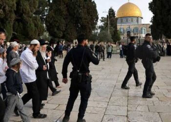 الأوقاف الإسلامية: 700 مستوطن اقتحموا المسجد الأقصى منذ ساعات الصباح