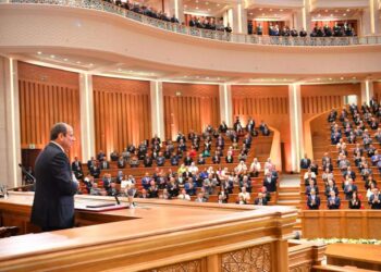 النائبة مرثا محروس: مصر تخطو مرحلة جديدة نحو الجمهورية الجديدة تحت قيادة الرئيس السيسي