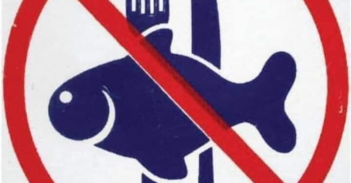 خليك إيجابي وماتشتريش.. أهالي بورسعيد يطلقون حملة لمقاطعة شراء الأسماك لحين انخفاض الأسعار