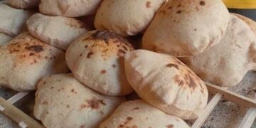 نداء عاجل من شعبة المخابز للمواطنين بعد انخفاض أسعار العيش