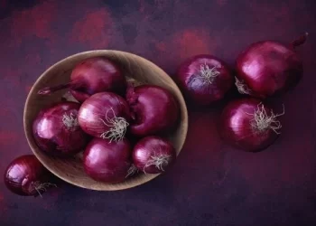 هل يرتفع سعر البصل بعد قرار استئناف تصديره إلى السعودية؟