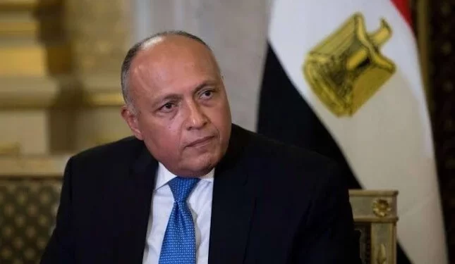 وزير الخارجية سامح شكري