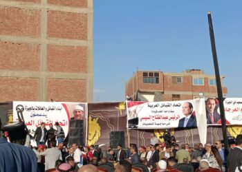 سياسيون ونواب وإعلاميون يشاركون في الندوة التعريفية لـ اتحاد القبائل العربية بالجيزة