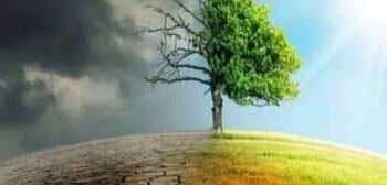 جهود الدولة المصرية لمواجهة التلوث في القاهرة الكبرى