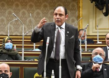 النائب رياض عبد الستار: صفقة رأس الحكمة رأس الحكمة “صك ثقة” على قوة الاقتصاد المصري