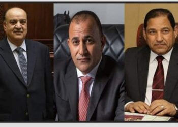 قبائل الشرق والغرب والصعيد والجنوب يد واحدة خلف قائد مصر الرئيس السيسي